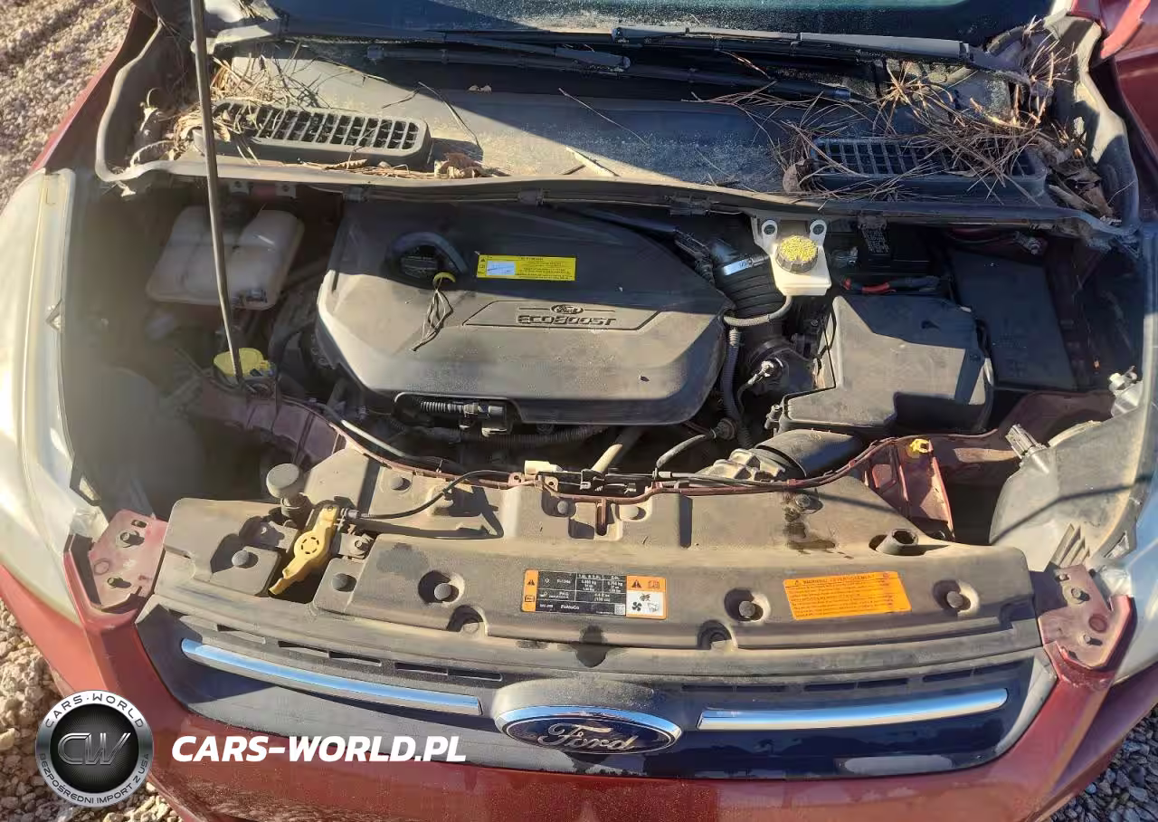 2015 Ford Escape Se VIN:1FMCU0GX4FUC42257 - 12
