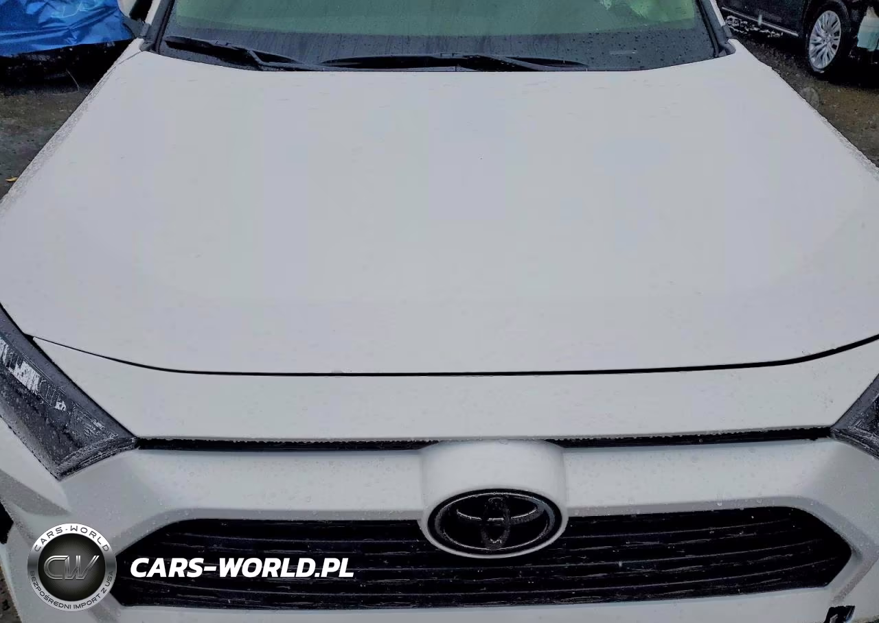 2019 Toyota Rav4 Le VIN:JTMG1RFV9KD046747 - 11