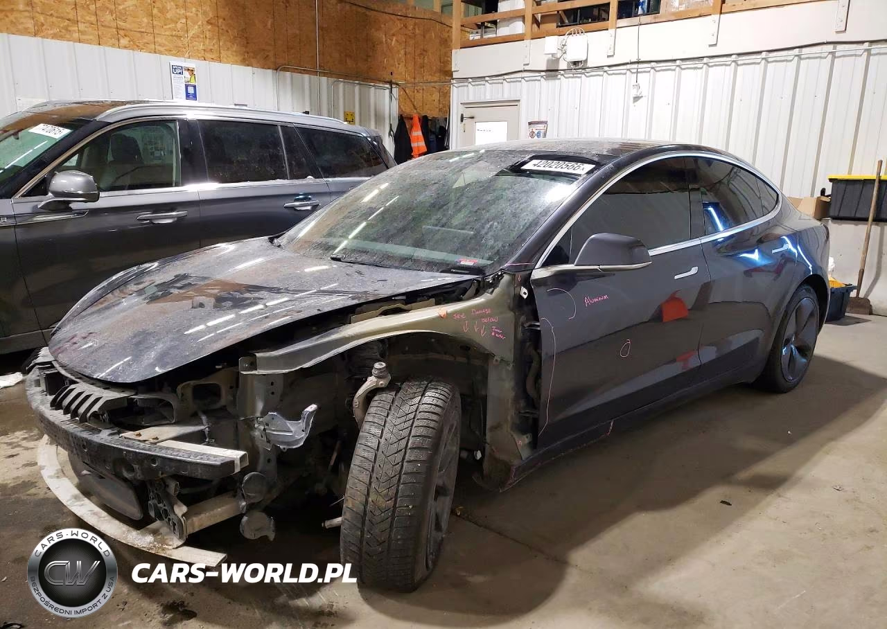 2019 Tesla Model 3