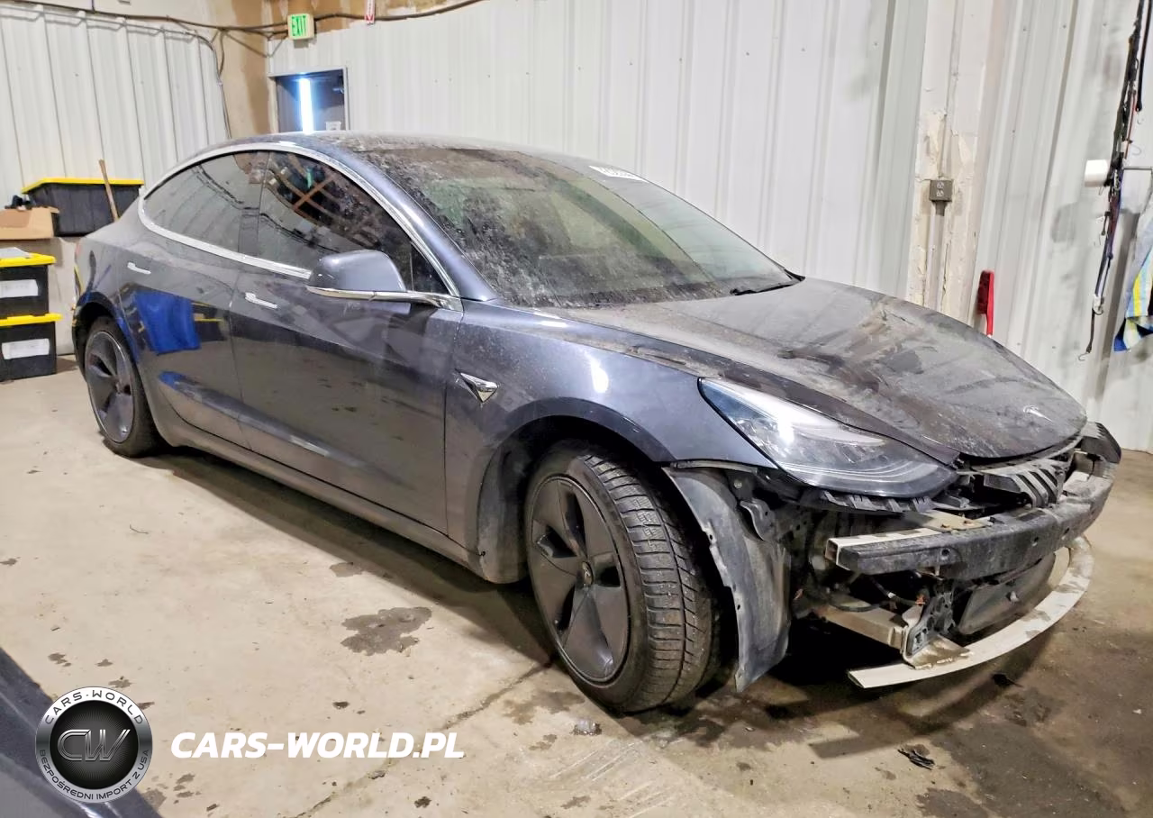 2019 Tesla Model 3 VIN:5YJ3E1EB2KF495692 - 4