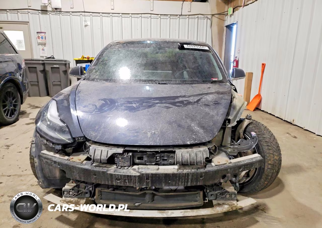 2019 Tesla Model 3 VIN:5YJ3E1EB2KF495692 - 5