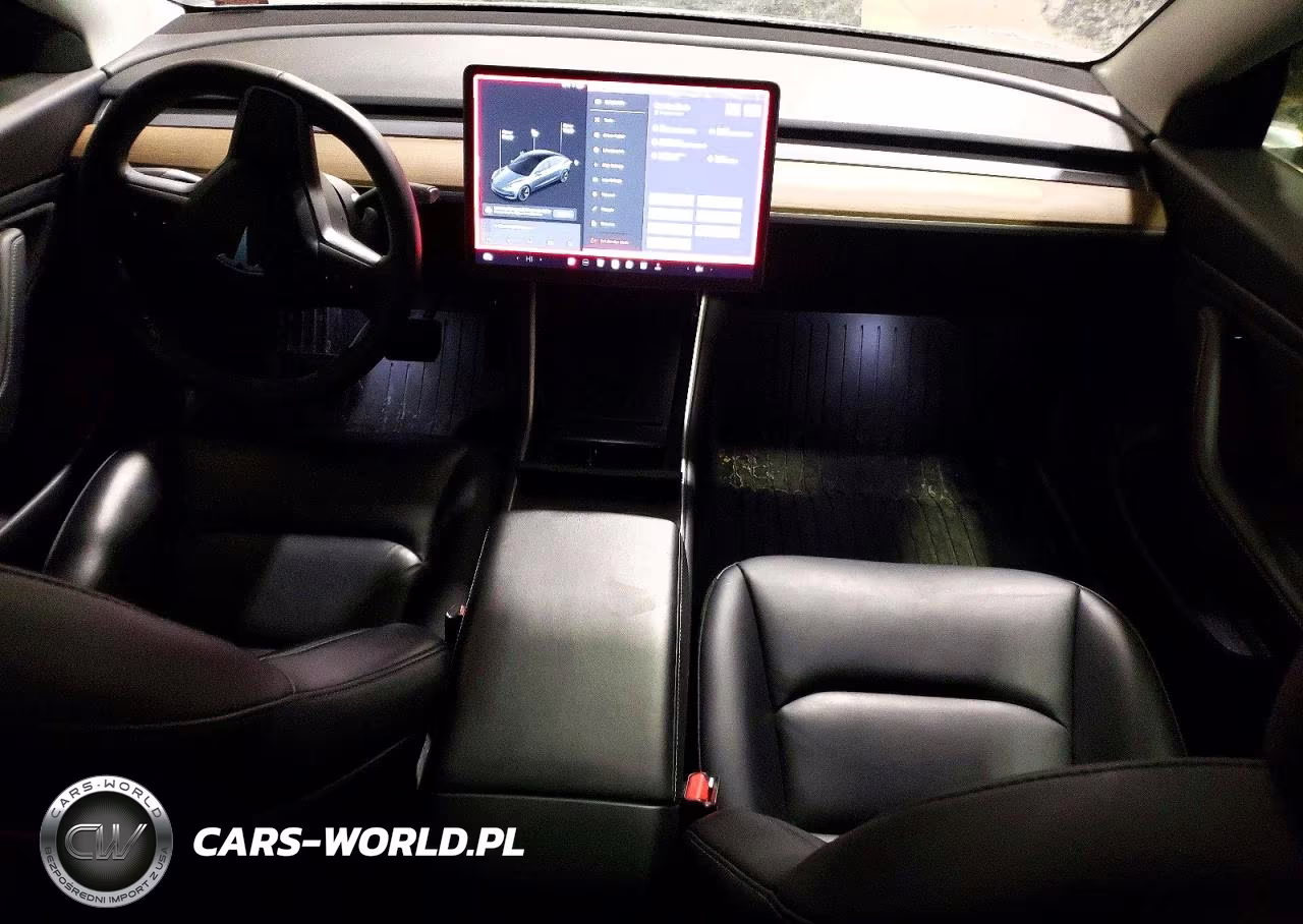 2019 Tesla Model 3 VIN:5YJ3E1EB2KF495692 - 8