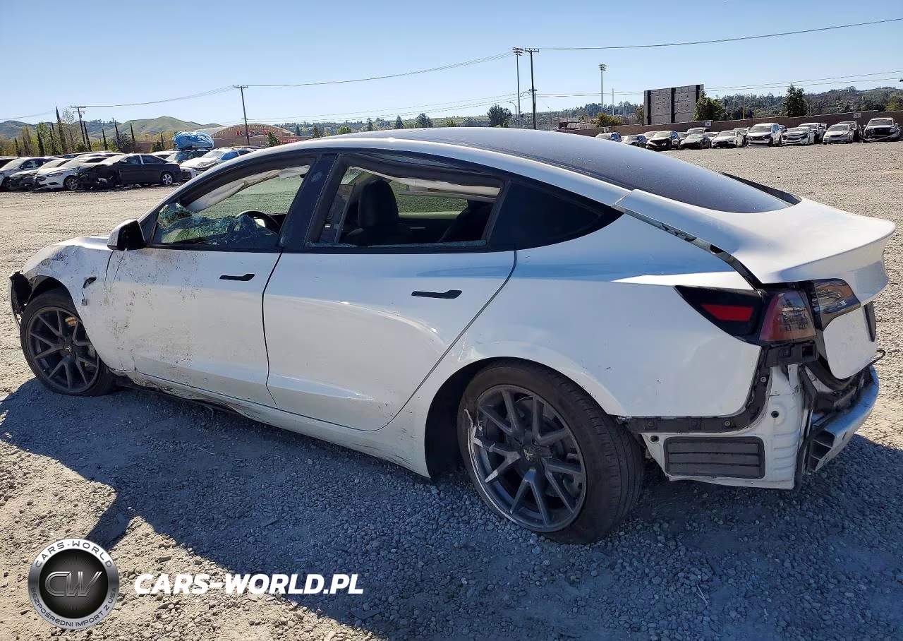 2023 Tesla Model 3 VIN:5YJ3E1EA5PF549954 - 2