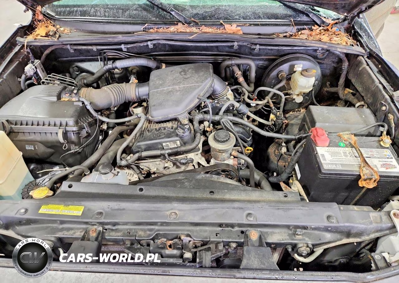 2009 Toyota Tacoma Base VIN:5TENX22N89Z626155 - 11