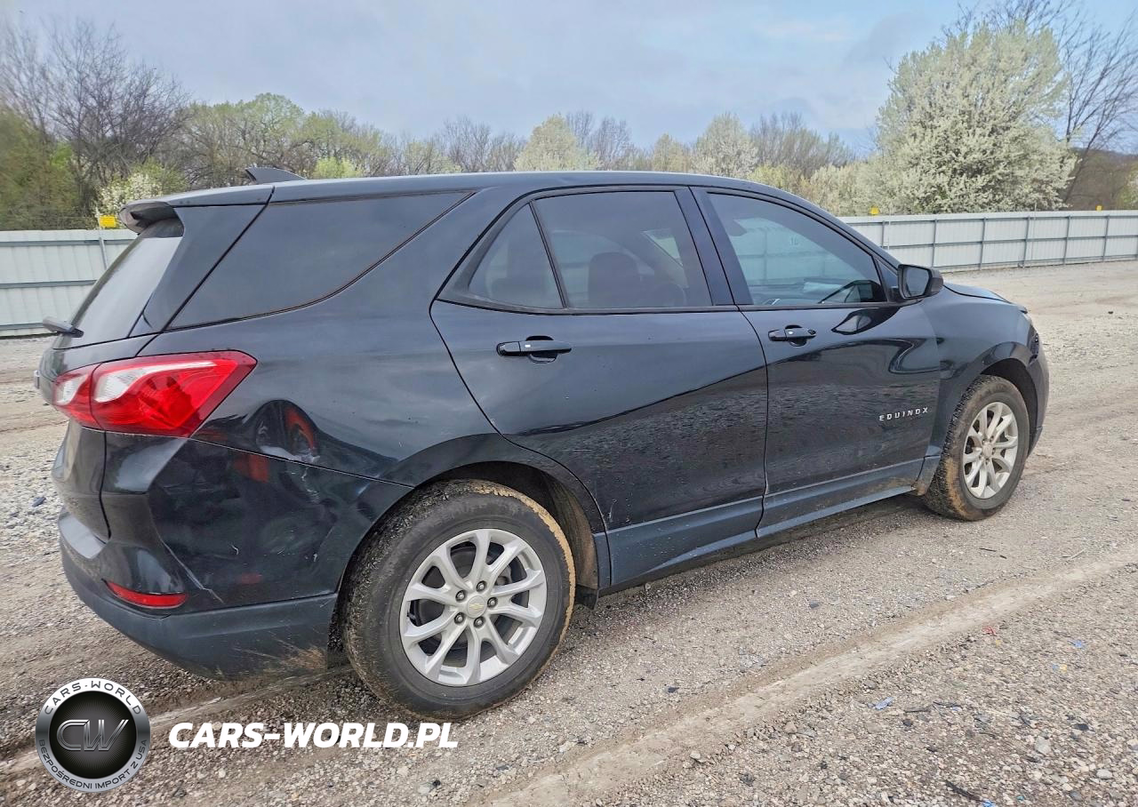 2019 Chevrolet Equinox Ls VIN:3GNAXHEV2KL392205 - 3