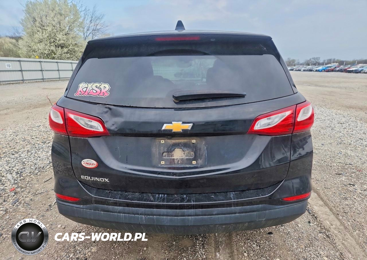 2019 Chevrolet Equinox Ls VIN:3GNAXHEV2KL392205 - 6