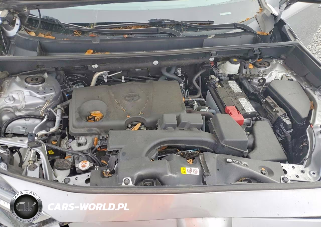 2023 Toyota Rav4 Xle VIN:2T3W1RFV4PW266027 - 12
