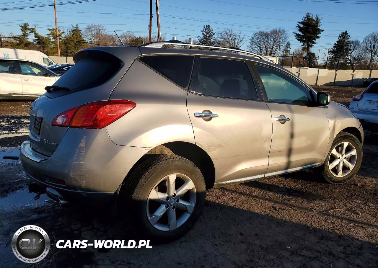 2010 Nissan Murano S VIN:JN8AZ1MW5AW130311 - 3