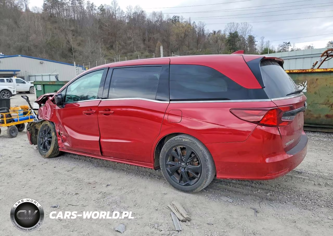 2024 Honda Odyssey Sport VIN:5FNRL6H70RB013087 - 2