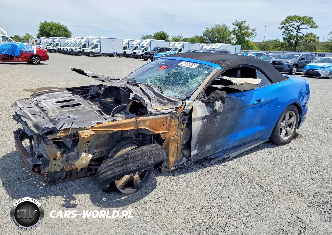 2019 Ford Mustang