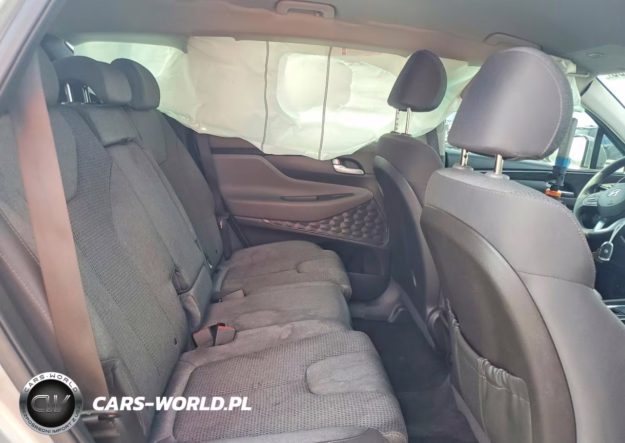 2020 Hyundai Santa Fe Sel VIN:5NMS33ADXLH232743 - 11
