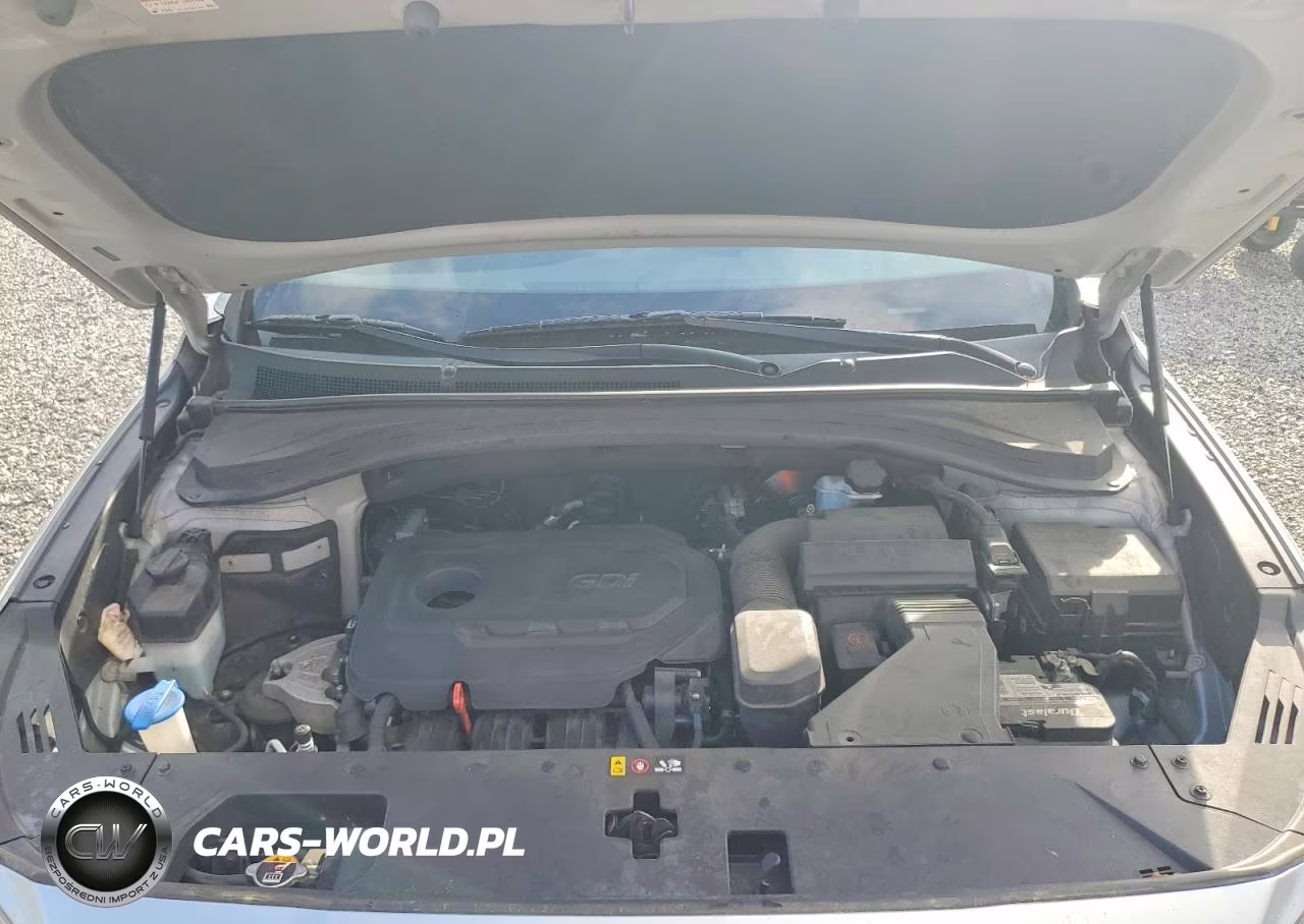2020 Hyundai Santa Fe Sel VIN:5NMS33ADXLH232743 - 12
