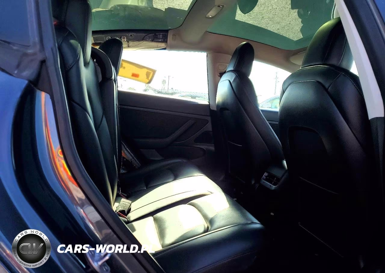 2020 Tesla Model 3 VIN:5YJ3E1EA3LF658245 - 10
