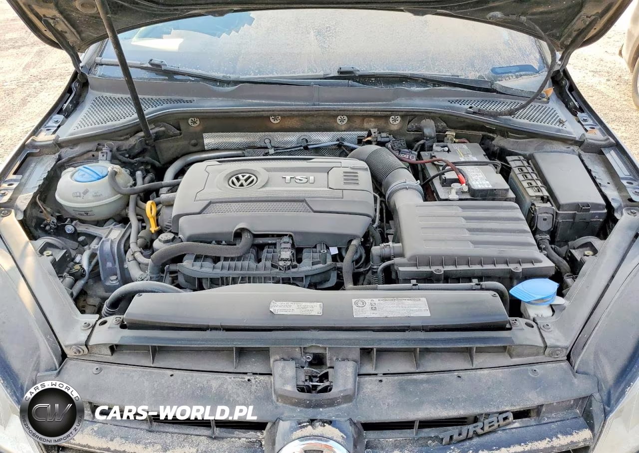 2017 Volkswagen Golf S VIN:3VW217AU4HM037848 - 11