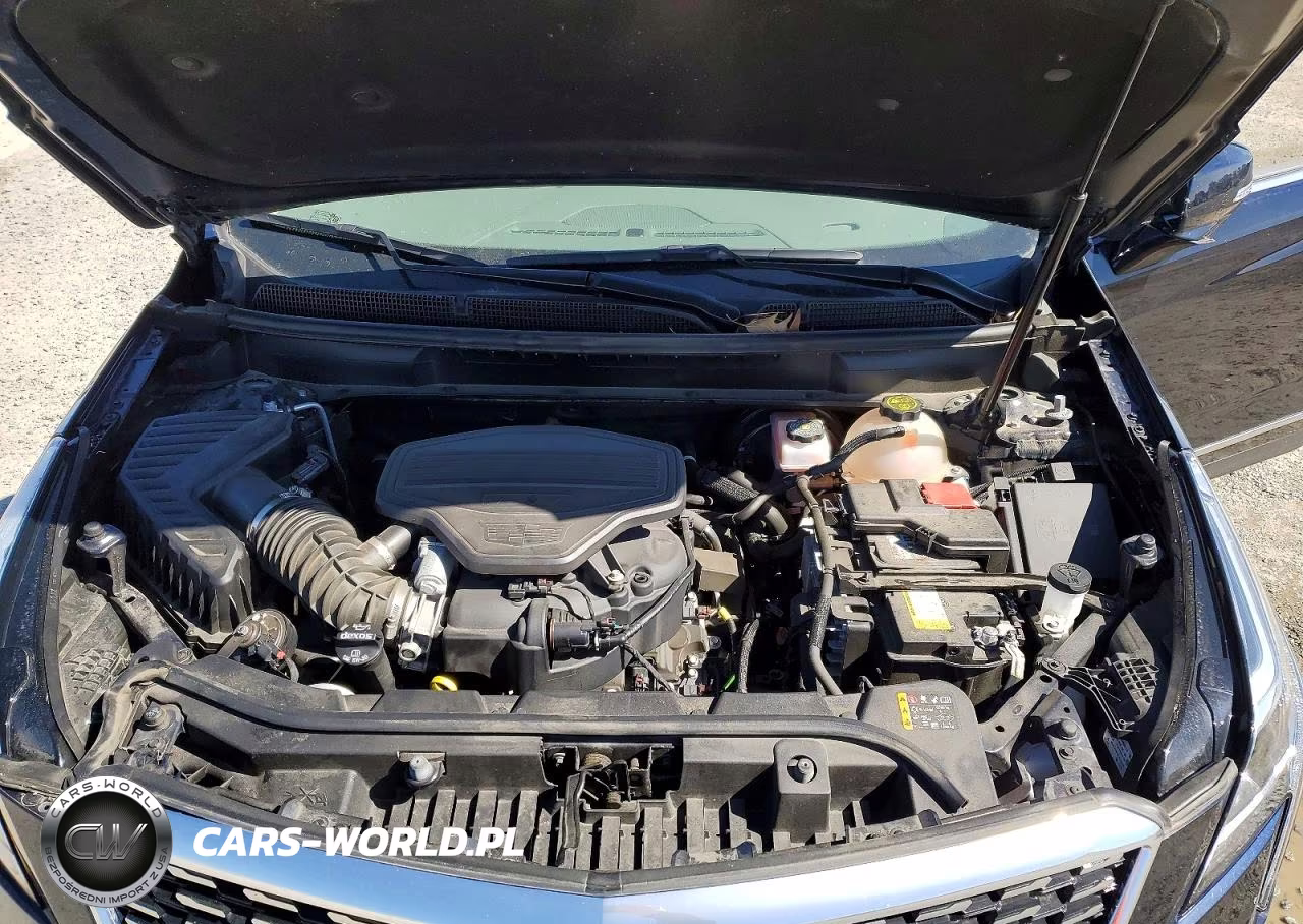 2021 Cadillac Xt5 Premium Luxury VIN:1GYKNCRS7MZ124097 - 12