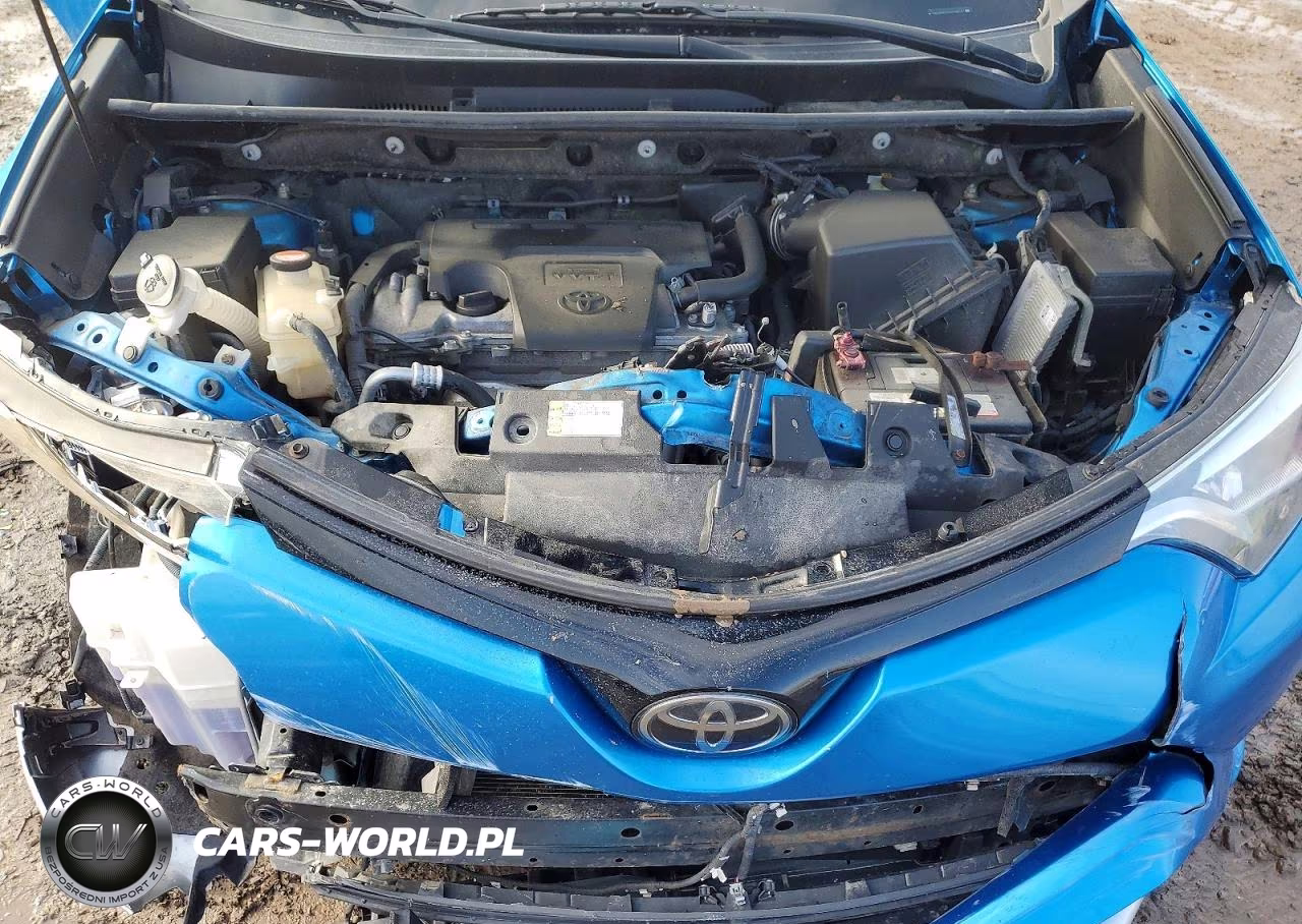 2016 Toyota Rav4 Se VIN:JTMJFREV1GD176571 - 12