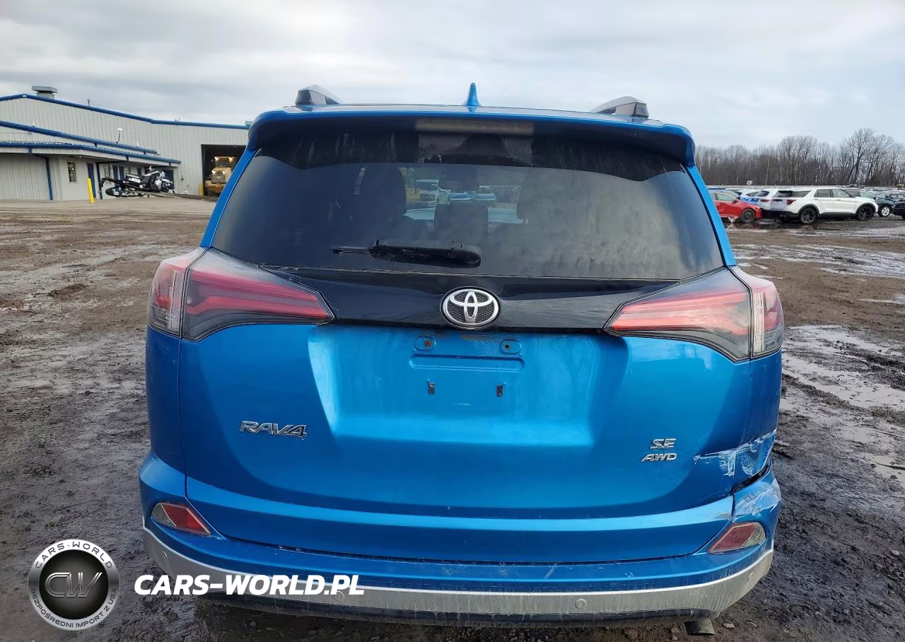 2016 Toyota Rav4 Se VIN:JTMJFREV1GD176571 - 6
