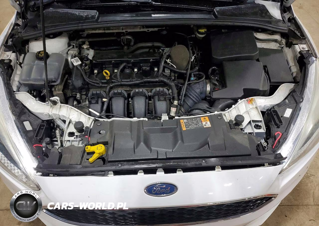 2016 Ford Focus Se VIN:1FADP3K25GL279084 - 11