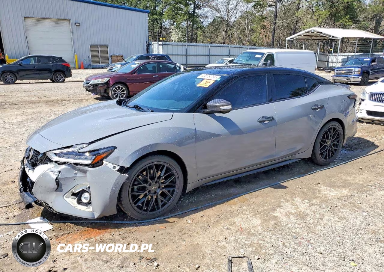 2019 Nissan Maxima Platinum VIN:1N4AA6AV2KC378455 - 1