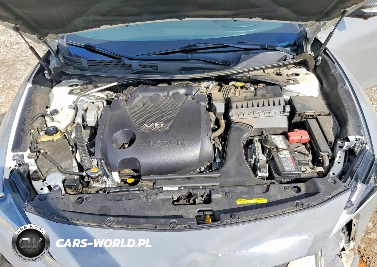 2019 Nissan Maxima Platinum VIN:1N4AA6AV2KC378455 - 11