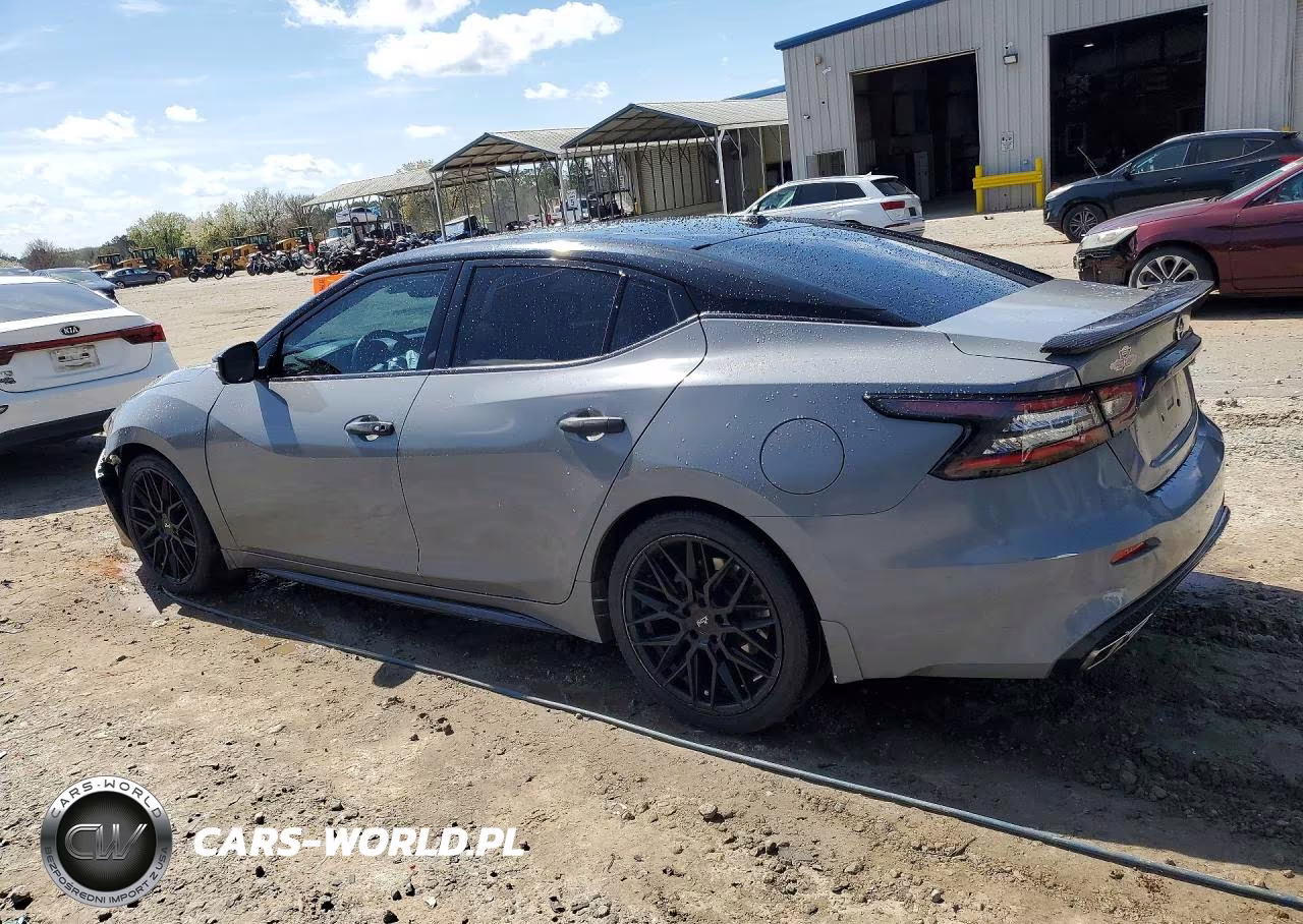 2019 Nissan Maxima Platinum VIN:1N4AA6AV2KC378455 - 2