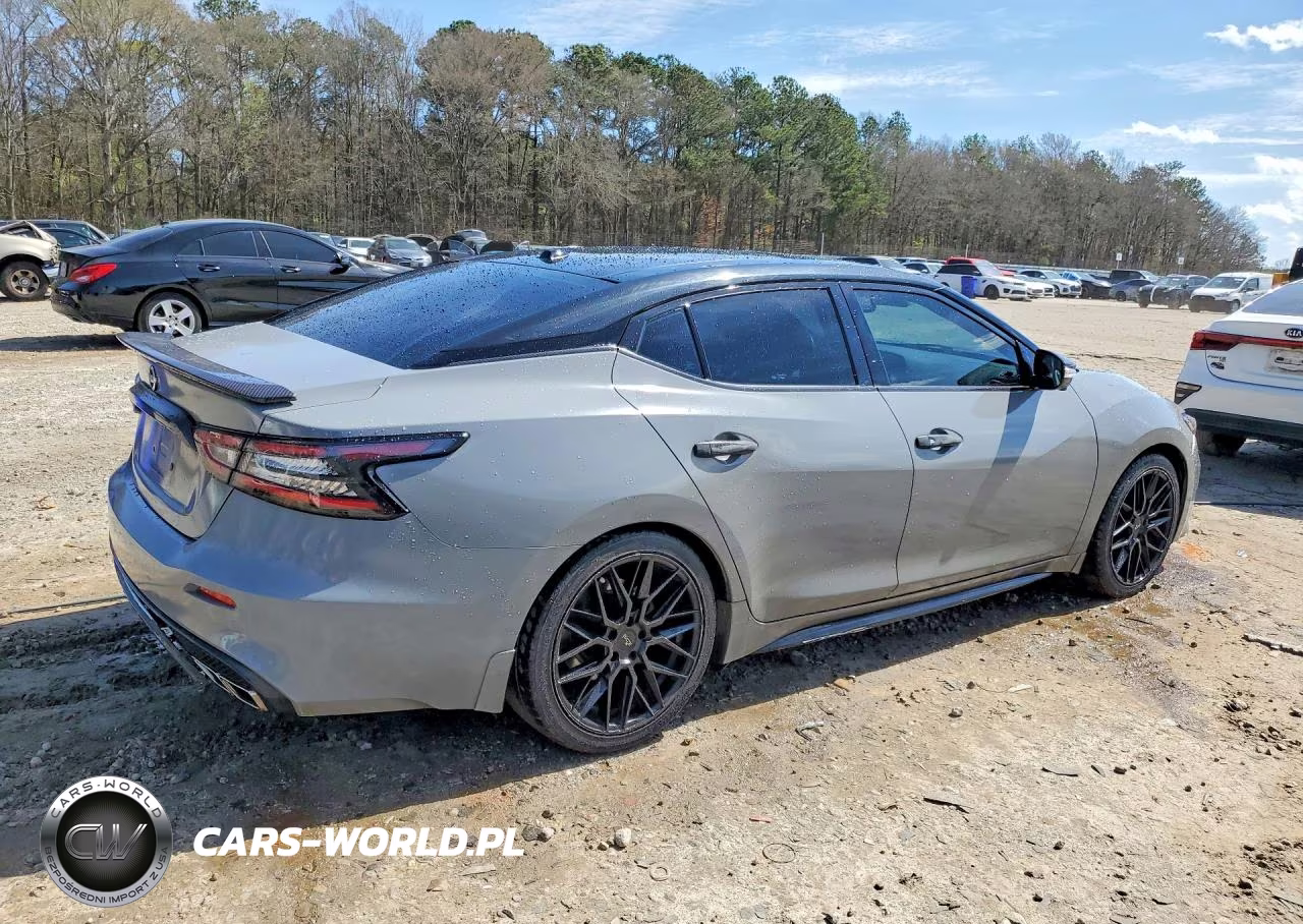 2019 Nissan Maxima Platinum VIN:1N4AA6AV2KC378455 - 3