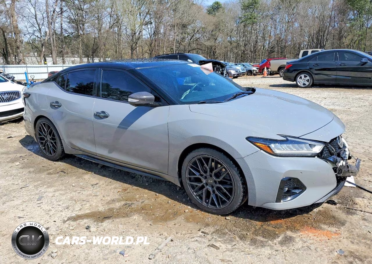 2019 Nissan Maxima Platinum VIN:1N4AA6AV2KC378455 - 4