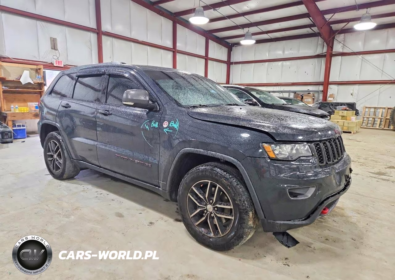 2017 Jeep Grand Cherokee Trailhawk VIN:1C4RJFLG8HC794711 - 4