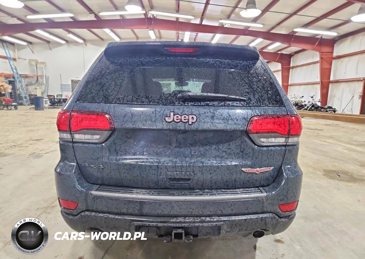 2017 Jeep Grand Cherokee Trailhawk VIN:1C4RJFLG8HC794711 - 6