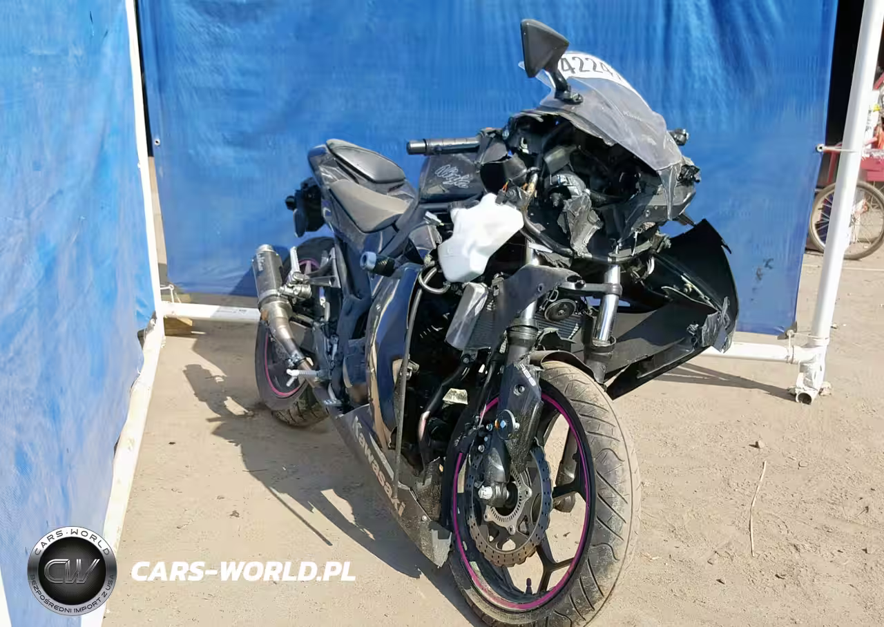 2014 Kawasaki Ex300 B – zdjęcie 1 z 10