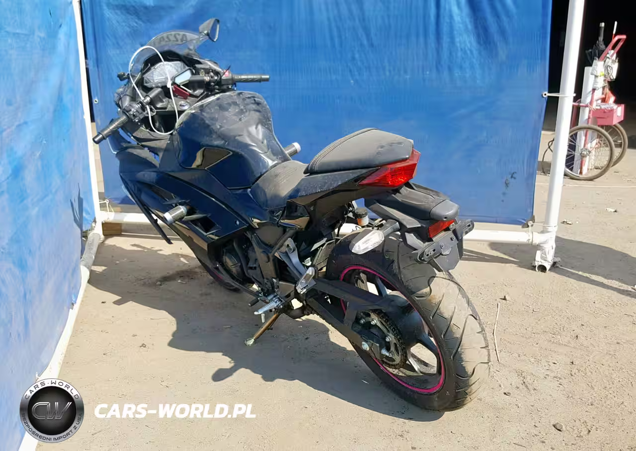 2014 Kawasaki Ex300 B VIN:JKAEX8B1XEA004574 - 3