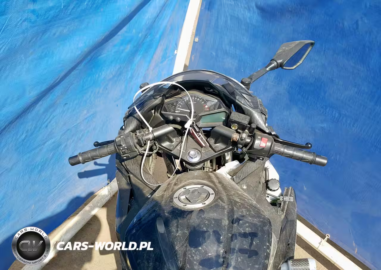 2014 Kawasaki Ex300 B VIN:JKAEX8B1XEA004574 - 5