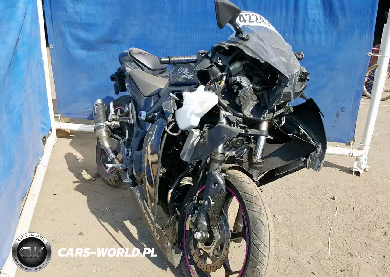 2014 Kawasaki Ex300 B VIN:JKAEX8B1XEA004574 - 9
