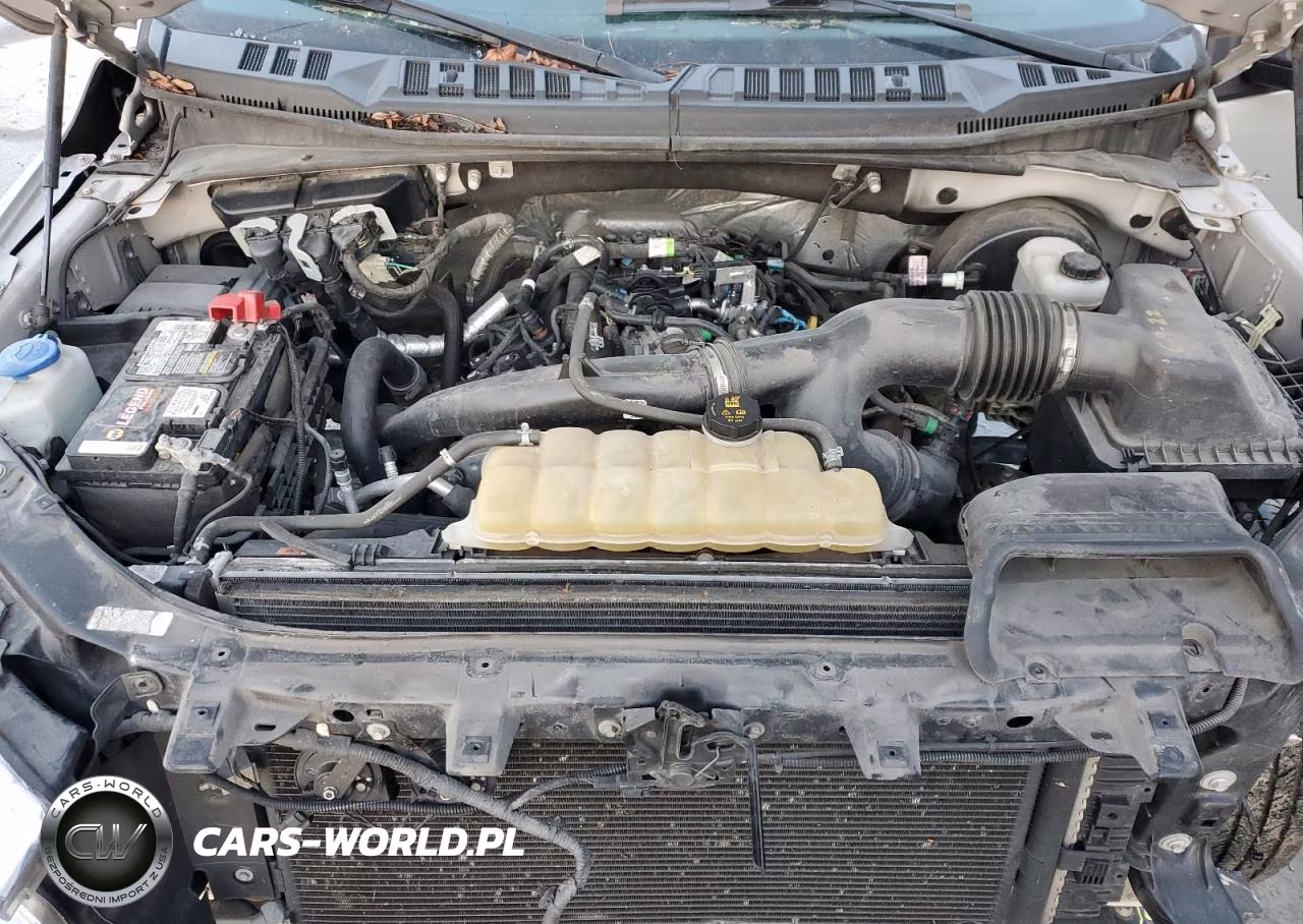 2019 Ford F150 Supercrew VIN:1FTEW1CP9KKD95094 - 11