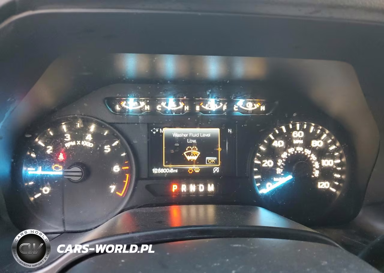 2019 Ford F150 Supercrew VIN:1FTEW1CP9KKD95094 - 9