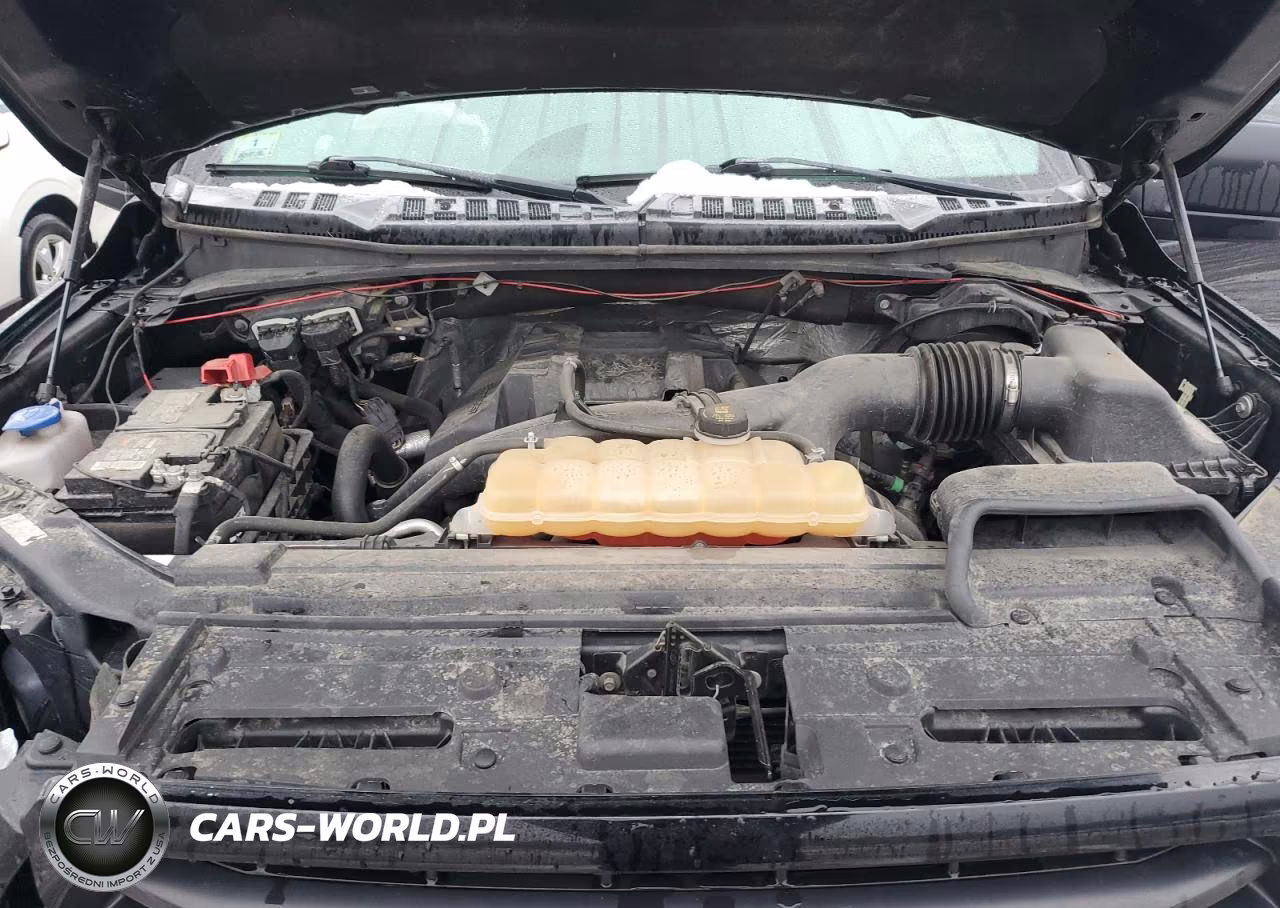 2016 Ford F150 Supercrew VIN:1FTEW1EP6GFC57896 - 11