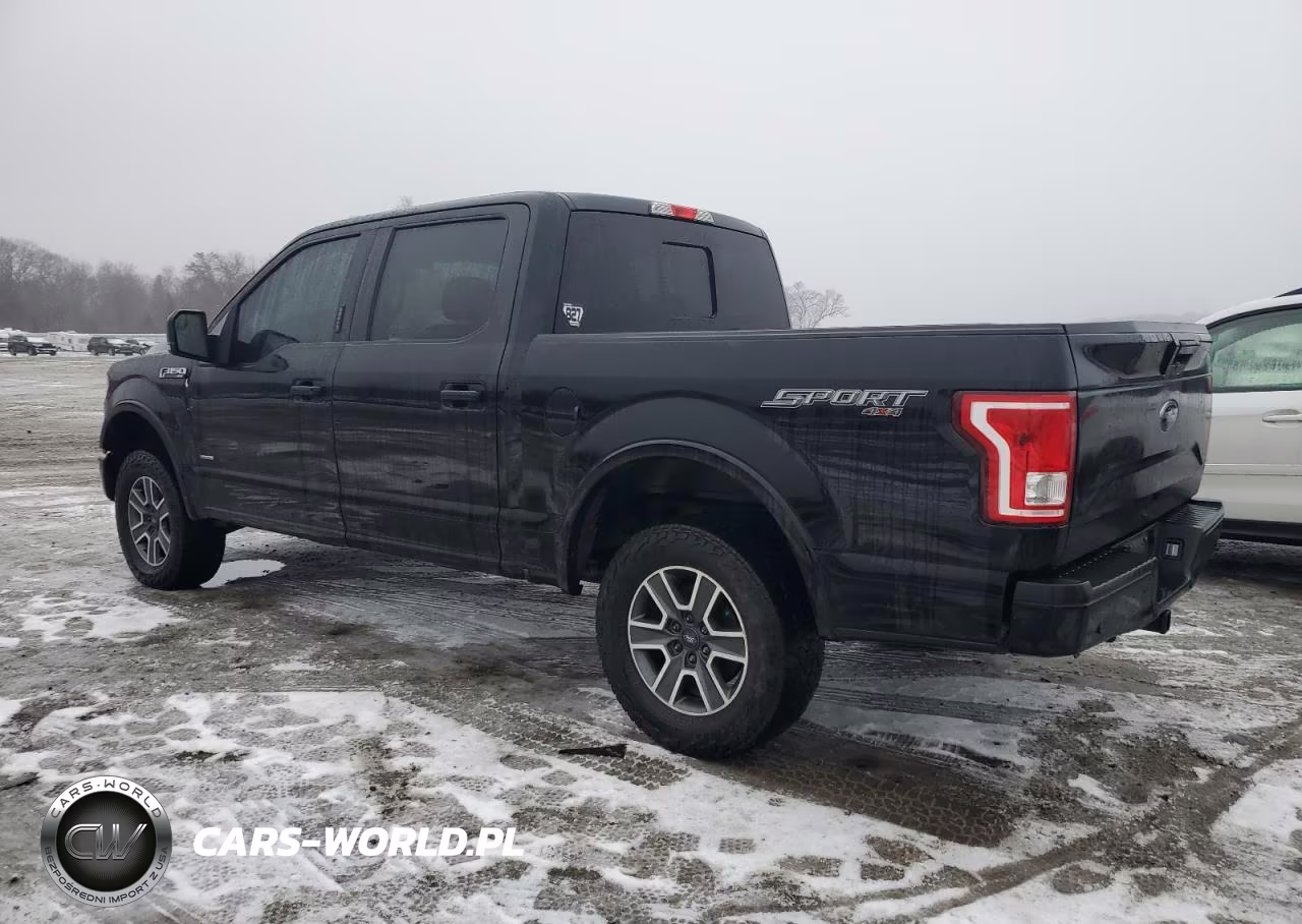 2016 Ford F150 Supercrew VIN:1FTEW1EP6GFC57896 - 2