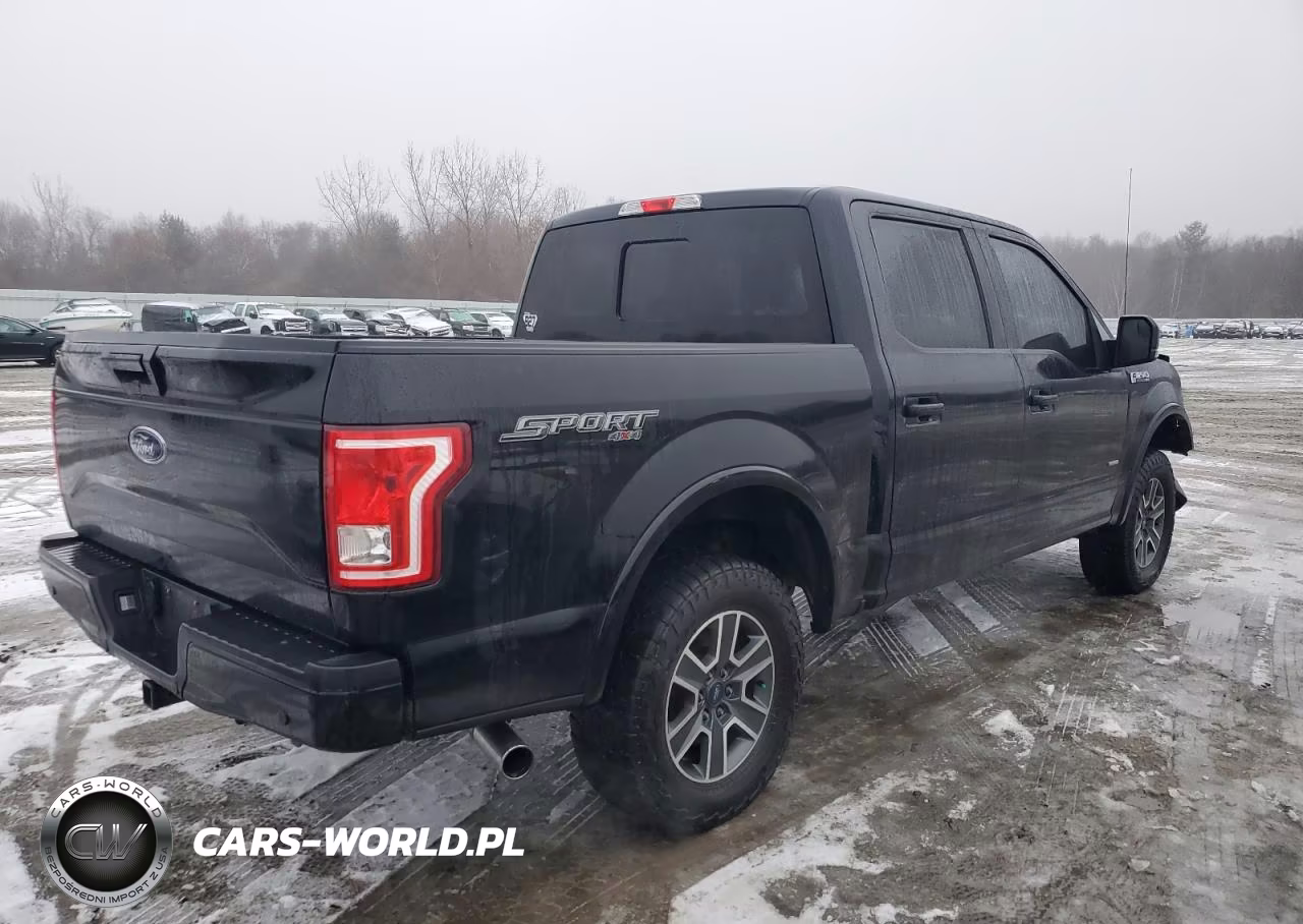 2016 Ford F150 Supercrew VIN:1FTEW1EP6GFC57896 - 3