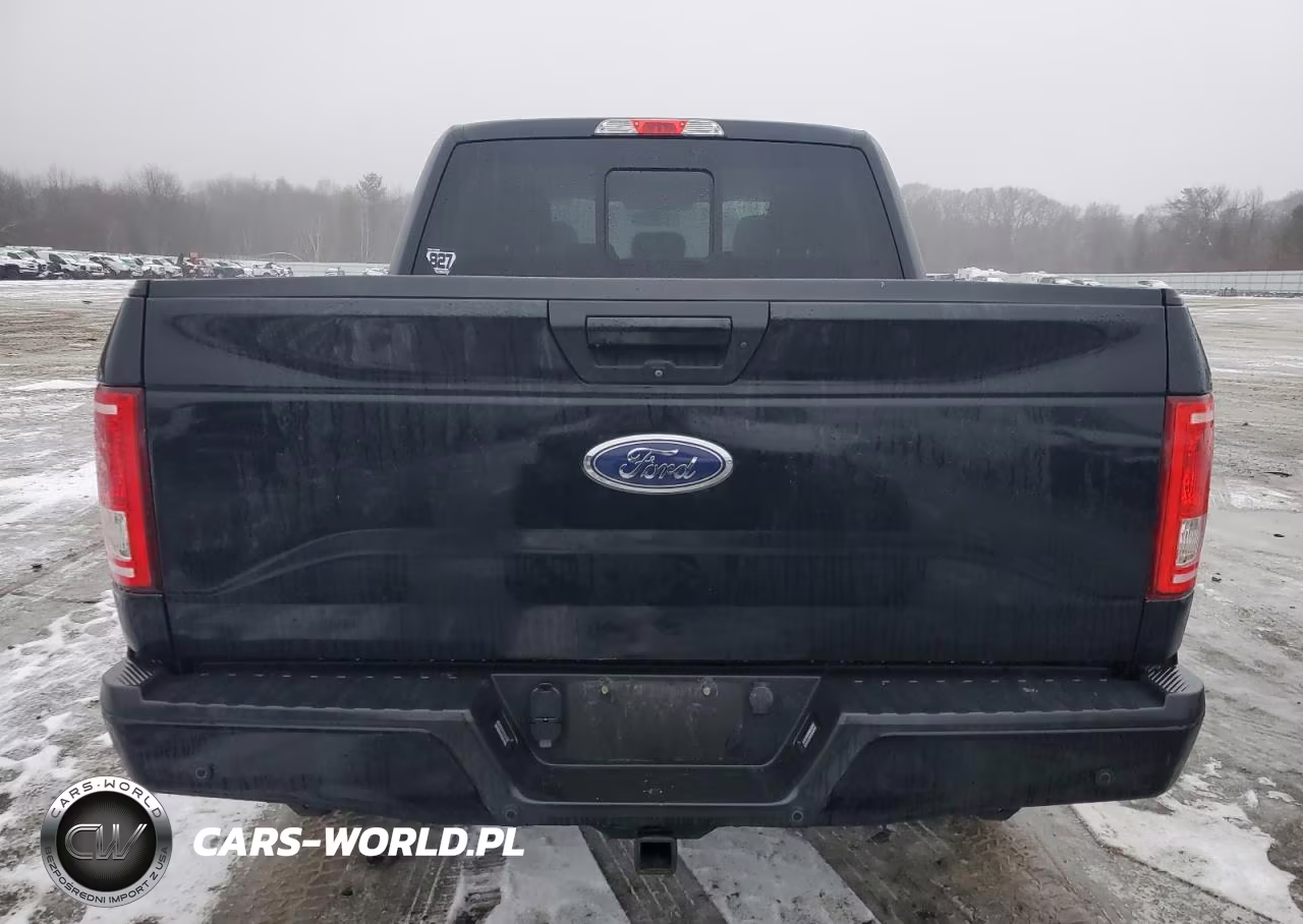 2016 Ford F150 Supercrew VIN:1FTEW1EP6GFC57896 - 6