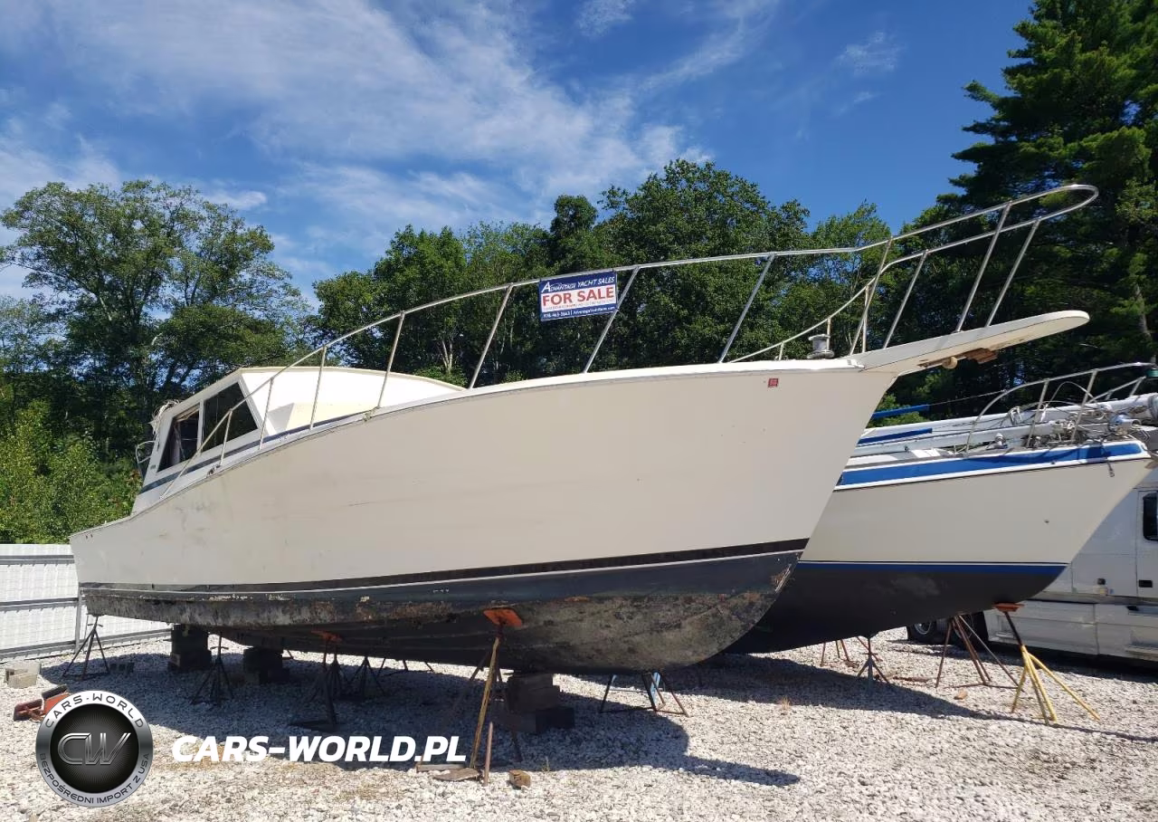 1986 Viki Legend