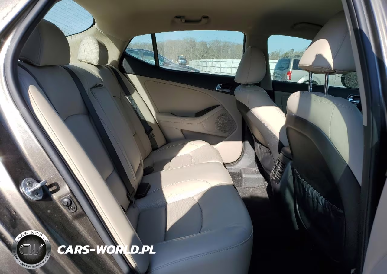 2015 Kia Optima Ex VIN:5XXGN4A72FG404766 - 10