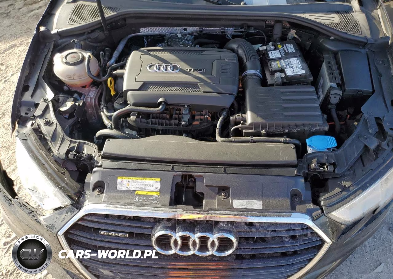 2019 Audi A3 Premium VIN:WAUBEGFF1K1018323 - 11