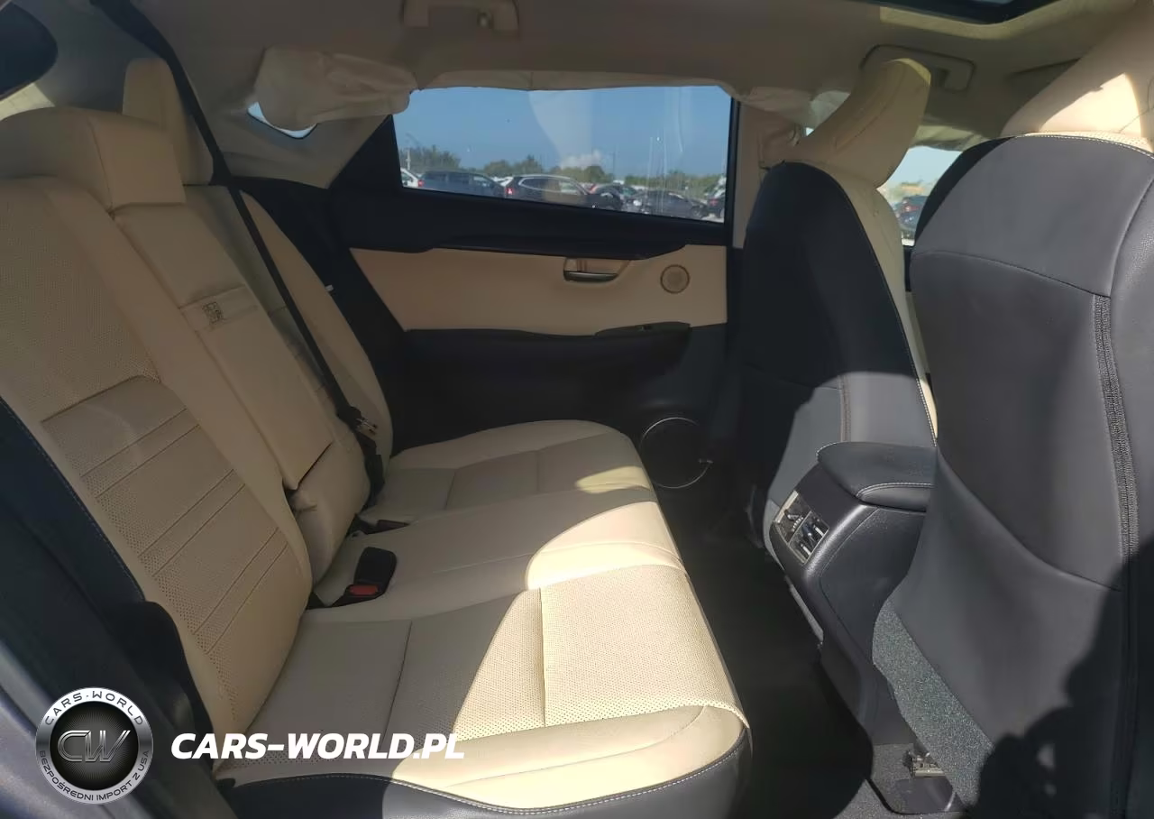 2021 Lexus Nx 300 Base VIN:JTJDARBZ3M2185389 - 11