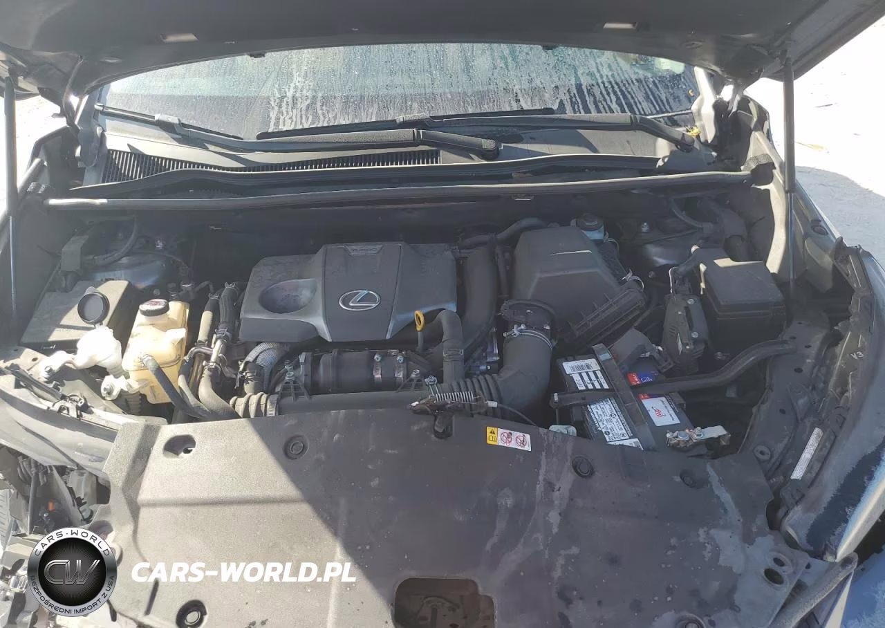 2021 Lexus Nx 300 Base VIN:JTJDARBZ3M2185389 - 12