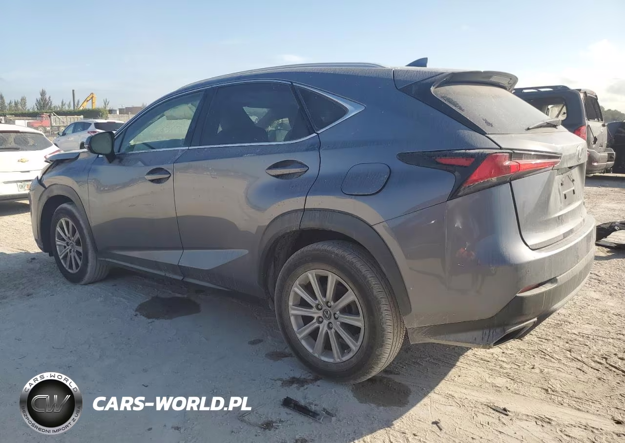 2021 Lexus Nx 300 Base VIN:JTJDARBZ3M2185389 - 2