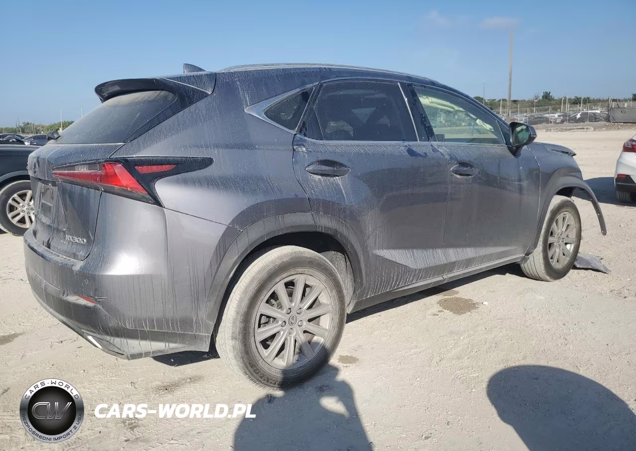 2021 Lexus Nx 300 Base VIN:JTJDARBZ3M2185389 - 3