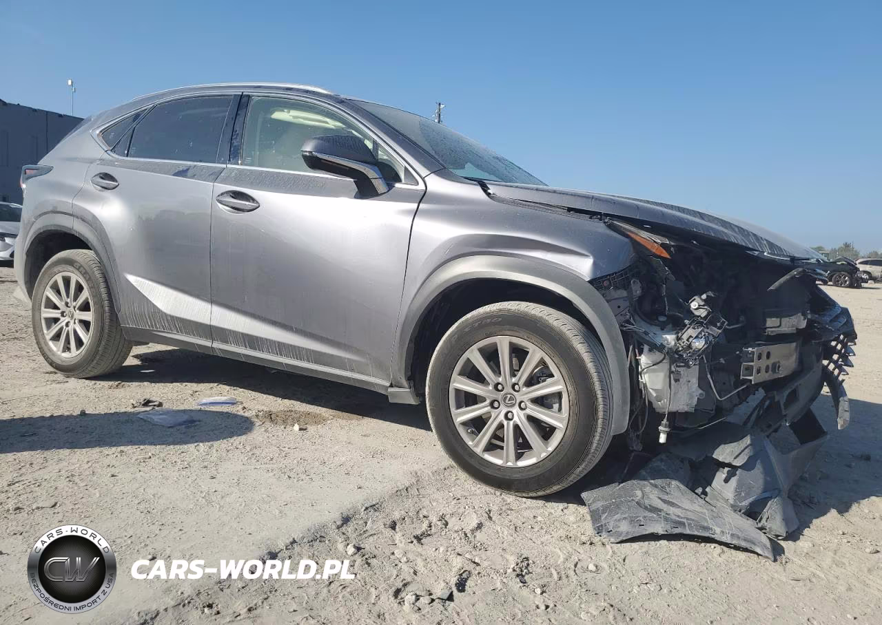 2021 Lexus Nx 300 Base VIN:JTJDARBZ3M2185389 - 4