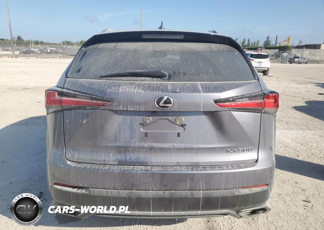 2021 Lexus Nx 300 Base VIN:JTJDARBZ3M2185389 - 6