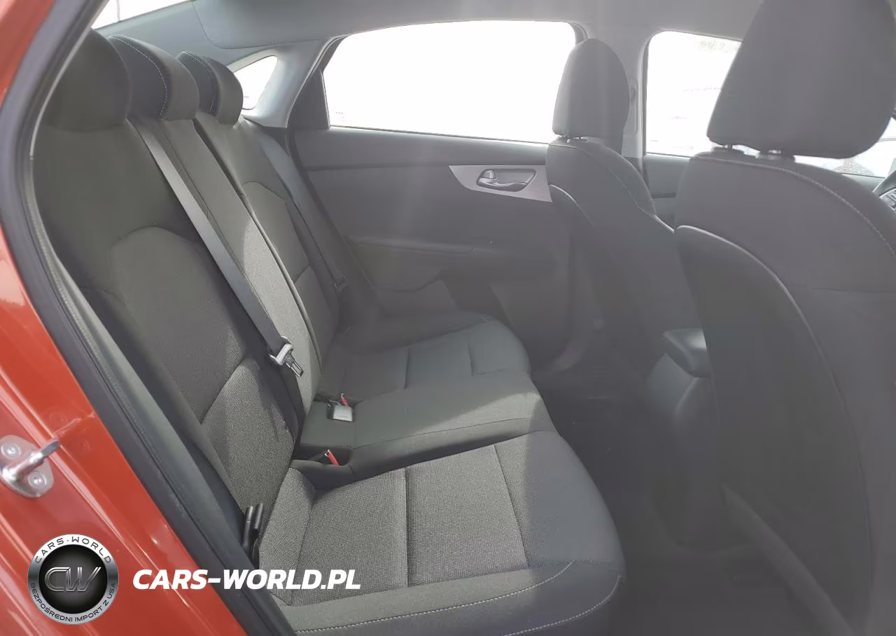 KIA FORTE LX VIN:3KPF24AD0PE666743 - 10