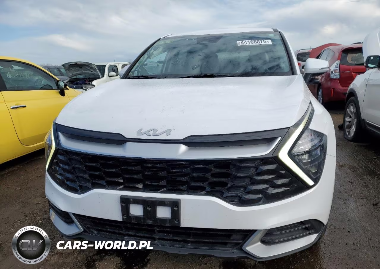 2023 Kia Sportage Ex VIN:5XYK33AF8PG133677 - 5